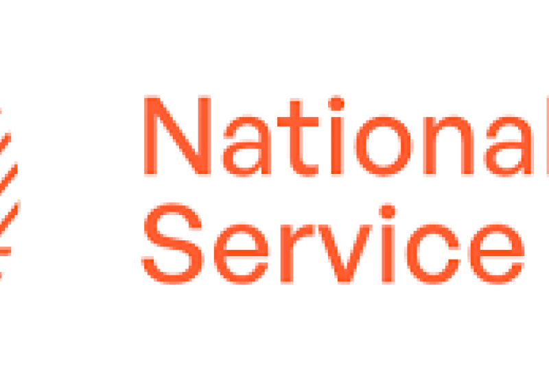 NSC logo