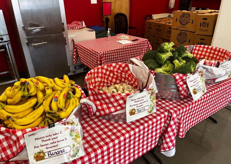 A table is covered with a checkered red and white tablecloth. On top of the table are baskets of fresh produce, including bananas, garlic, broccoli, and onions.