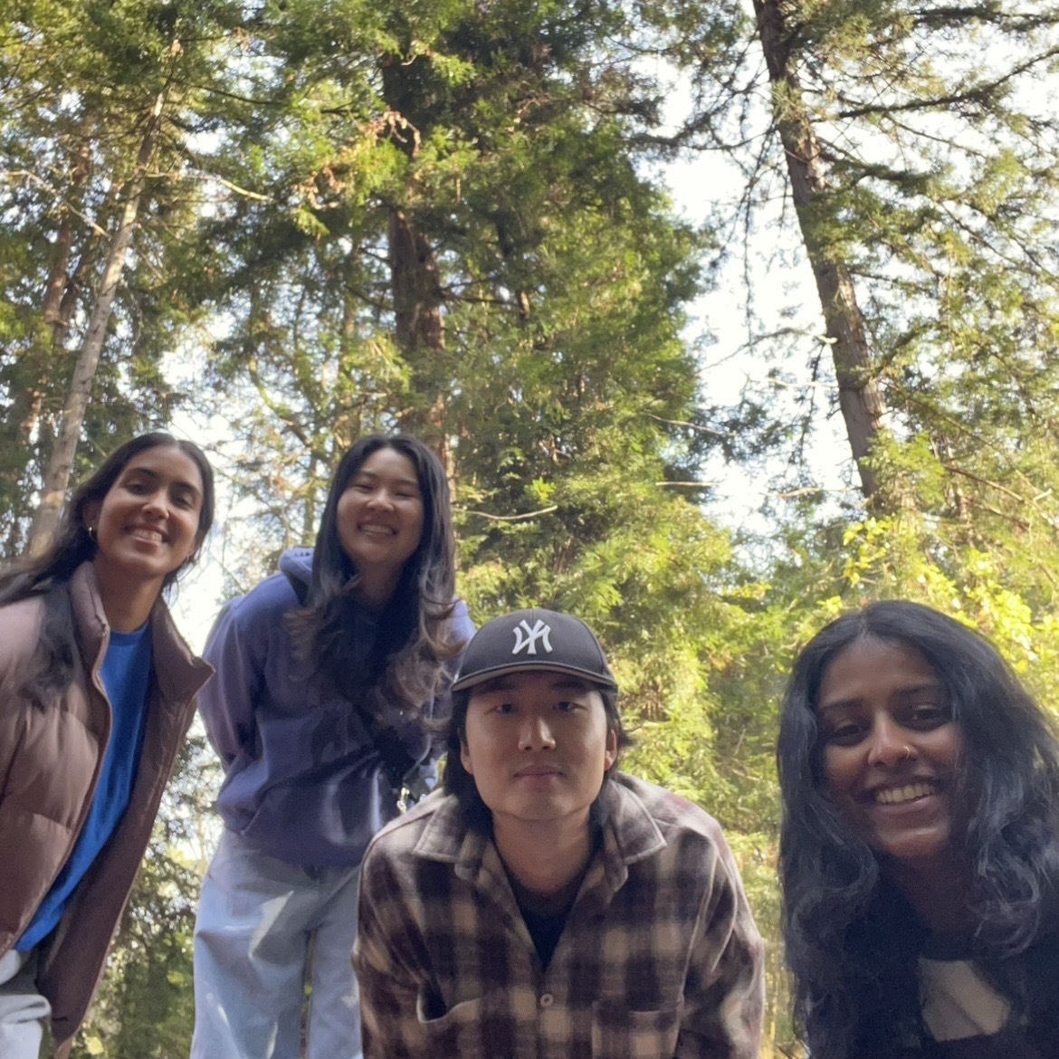 4 NHC members (left to right: Anjalie, Jamie, CJ, Nivedha) pose for a photo in Golden Gate Park. Behind them are towering evergreen trees.